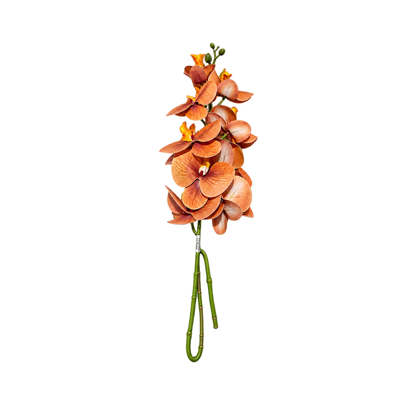 ORANGE ORCHID SPRAY