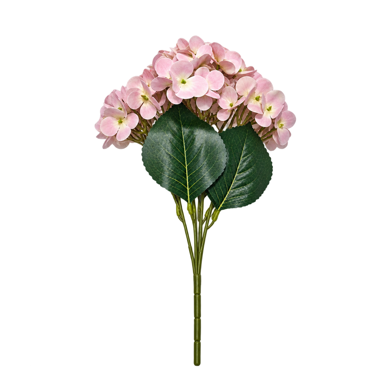 BLUSH HYDRANGEA STEM