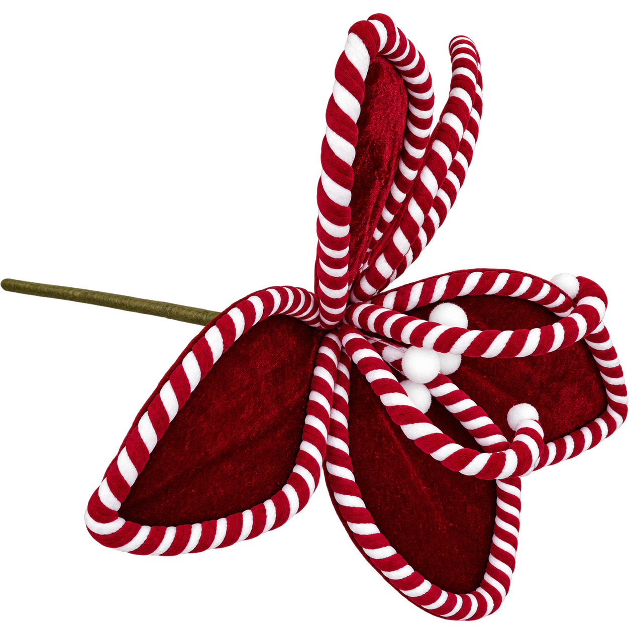 CRIMSON STRIPE POINSETTIA