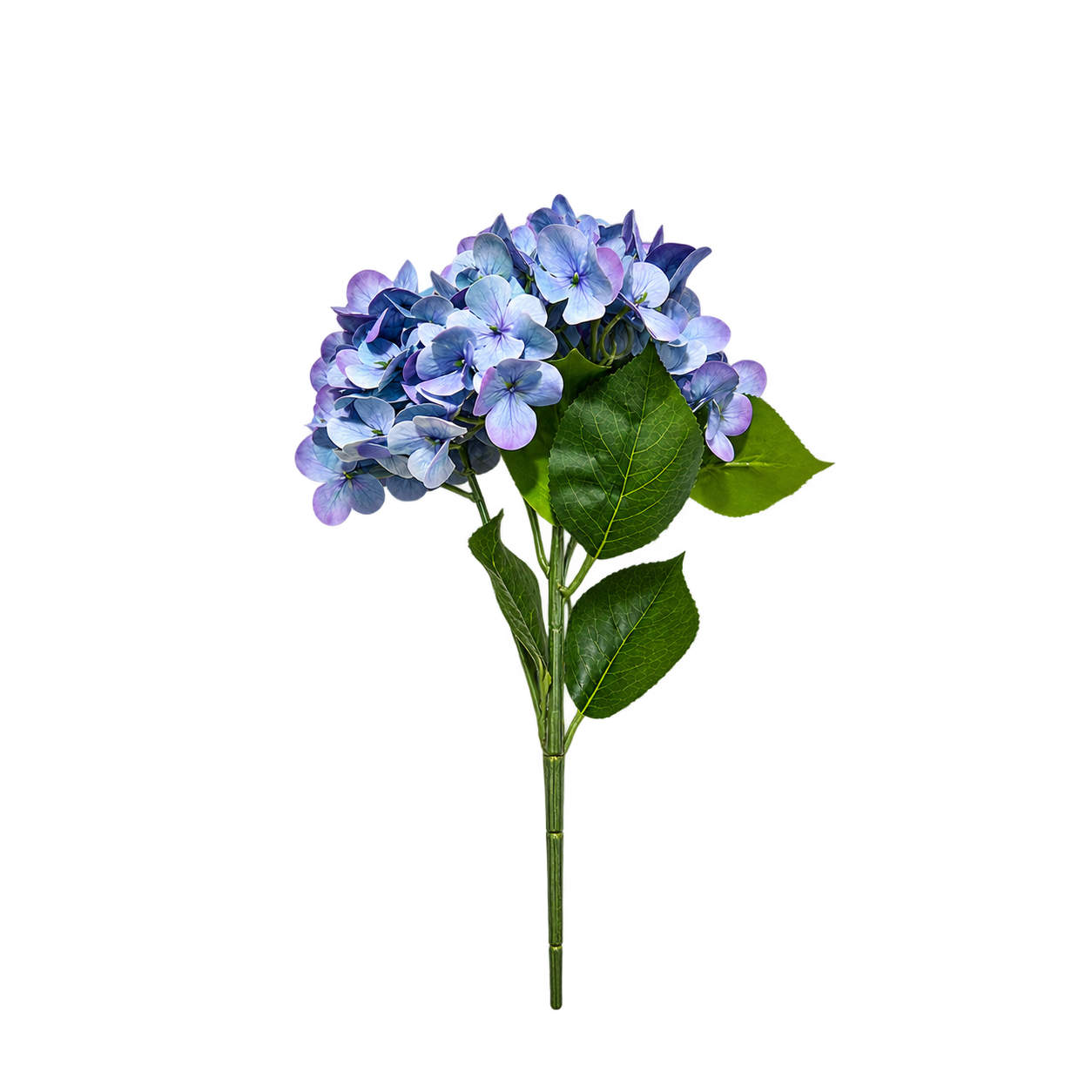 BLUE HYDRANGEA STEM