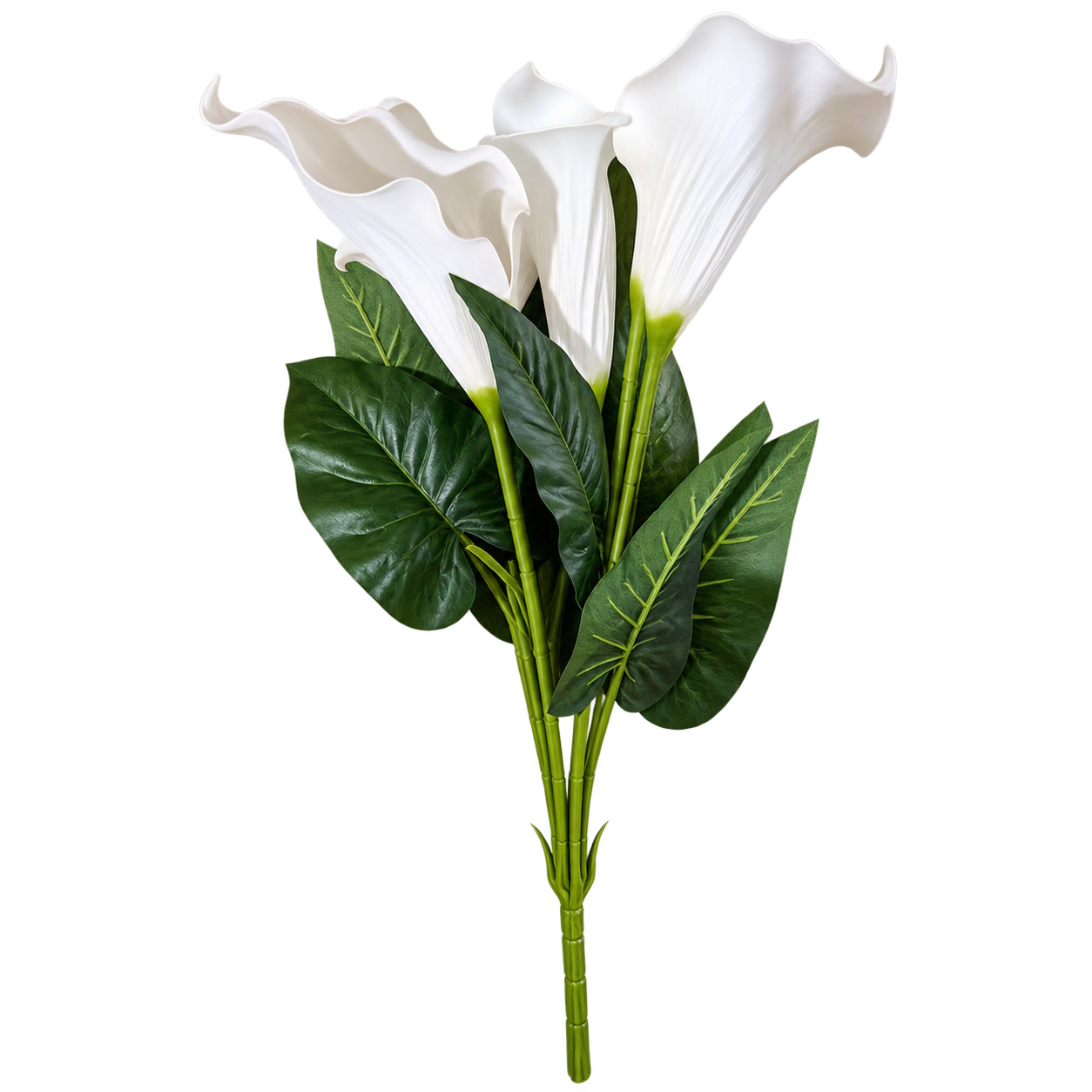 AURA TRUMPET