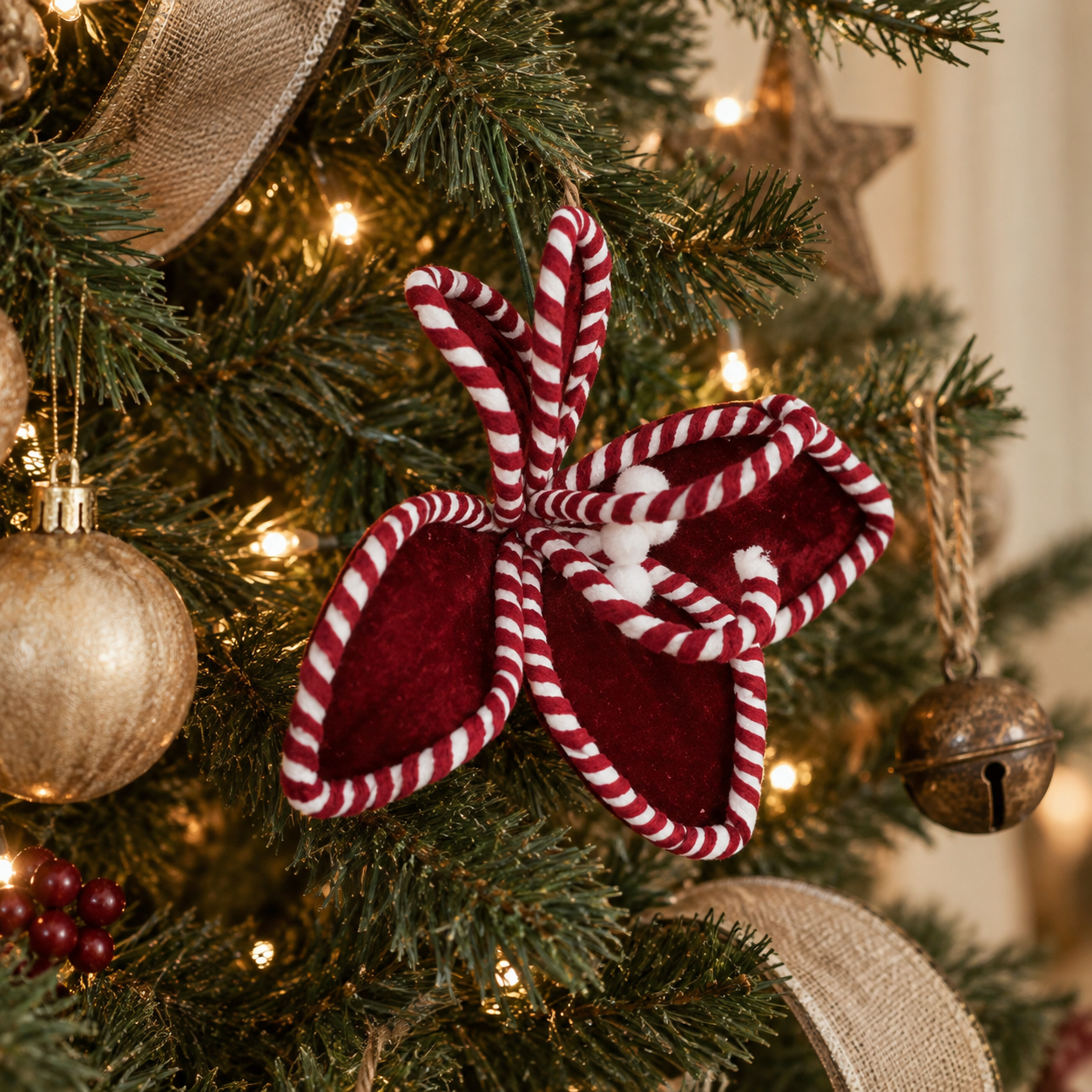 CRIMSON STRIPE POINSETTIA