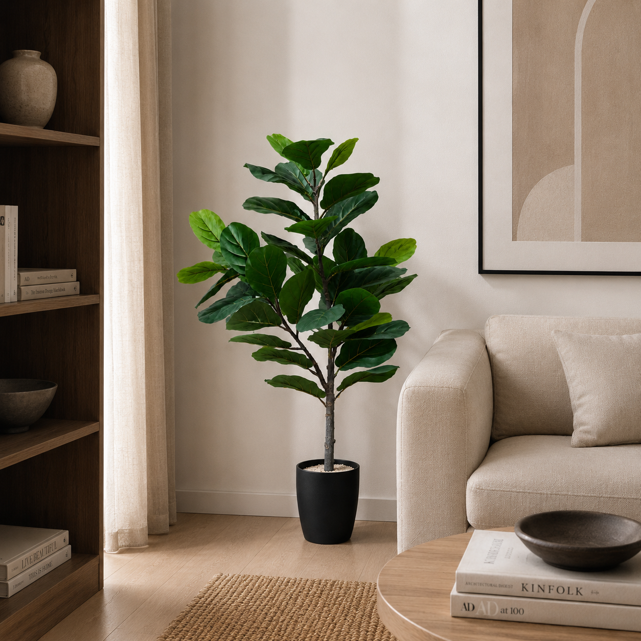FIDDLE LEAF FICUS hover preview