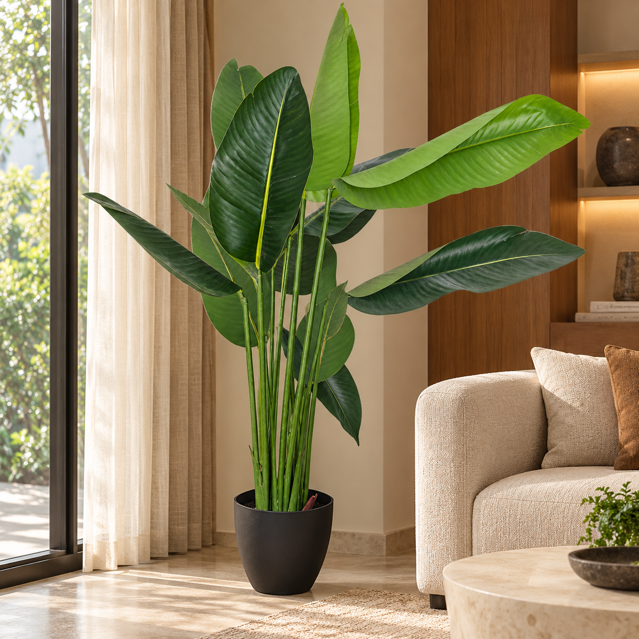 TRAVELER'S CANNA hover preview