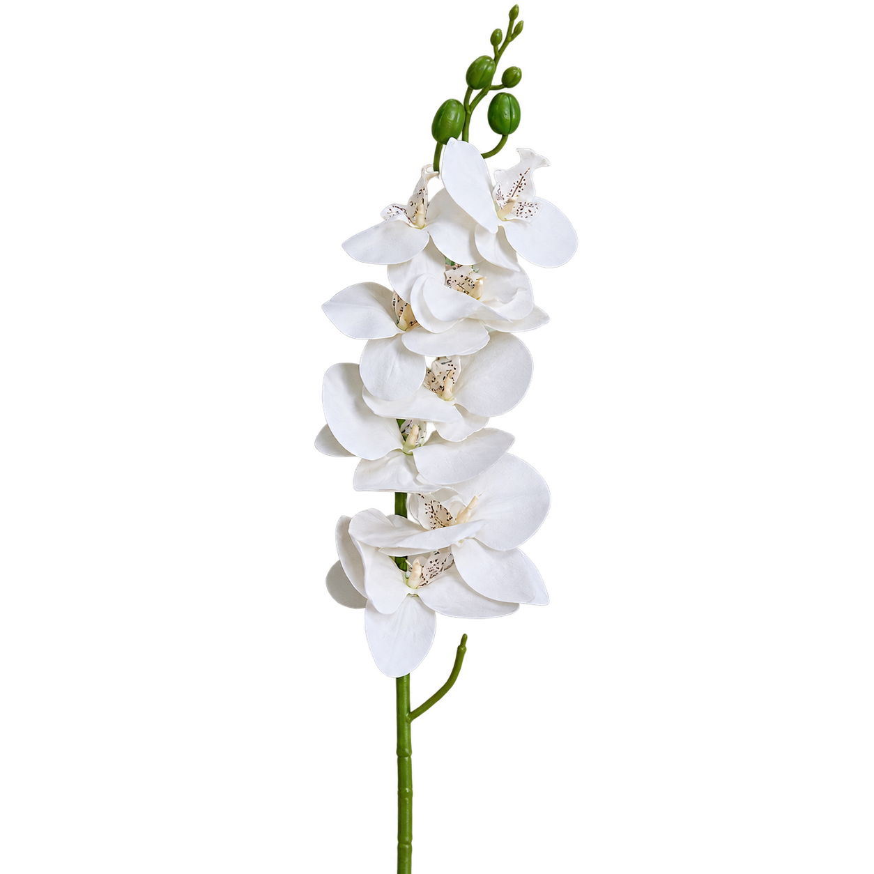 WHITE CASCADE