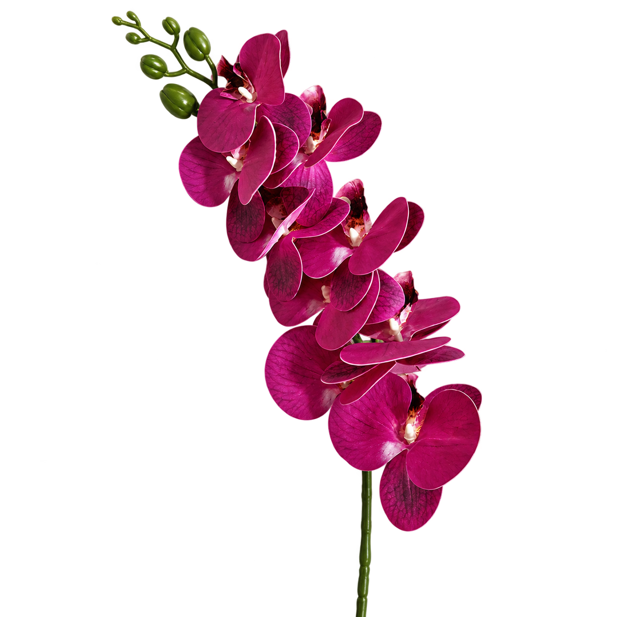 ORCHIS AMARA
