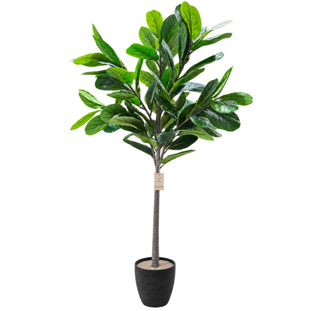 FIDDLE LEAF 1.8m
