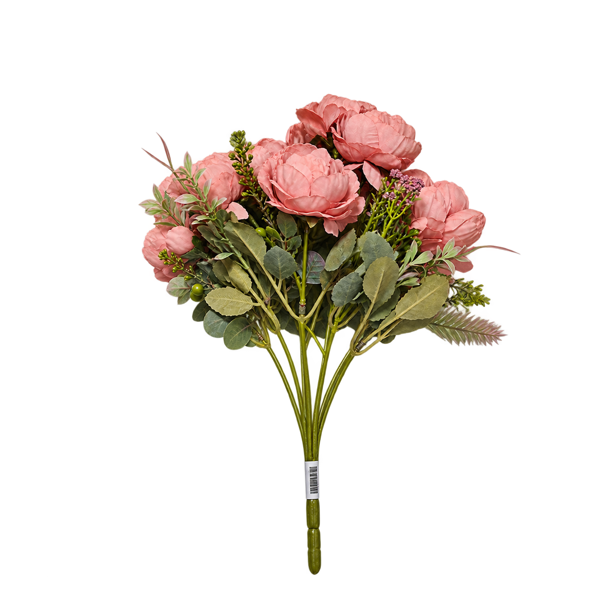 CORAL PEONY